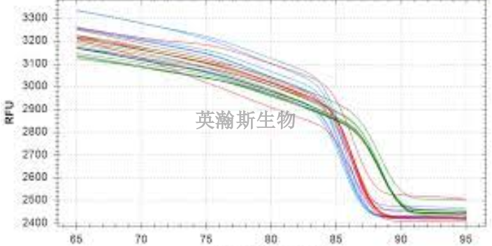 貴州熒光定量pcr外包,pcr