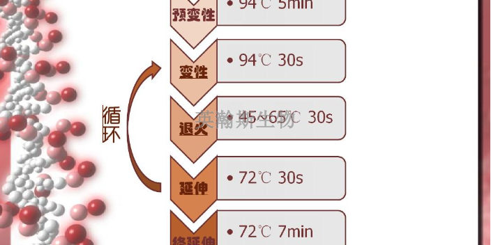 貴州靠譜pcr技術(shù),pcr