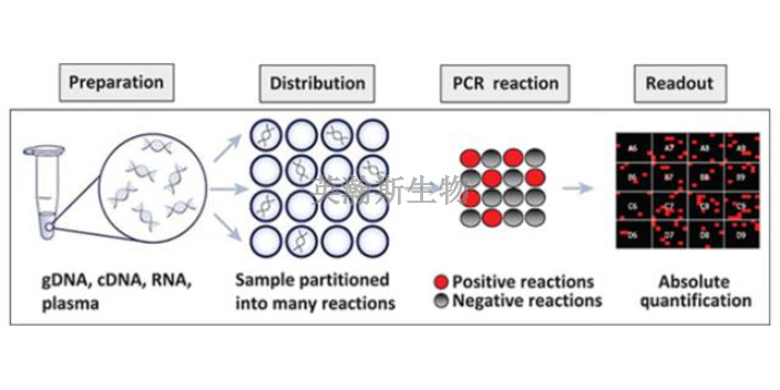 海南樣本pcr實驗,pcr