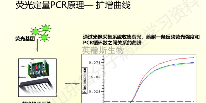 黑龍江有哪些pcr實(shí)驗(yàn)