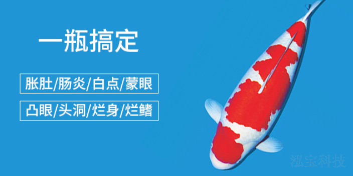 上海觀賞魚飼養(yǎng)代理價錢