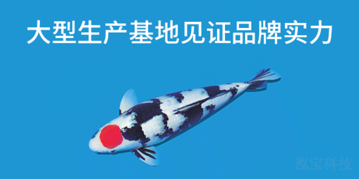 浙江影響觀賞魚飼養(yǎng)廠家直銷