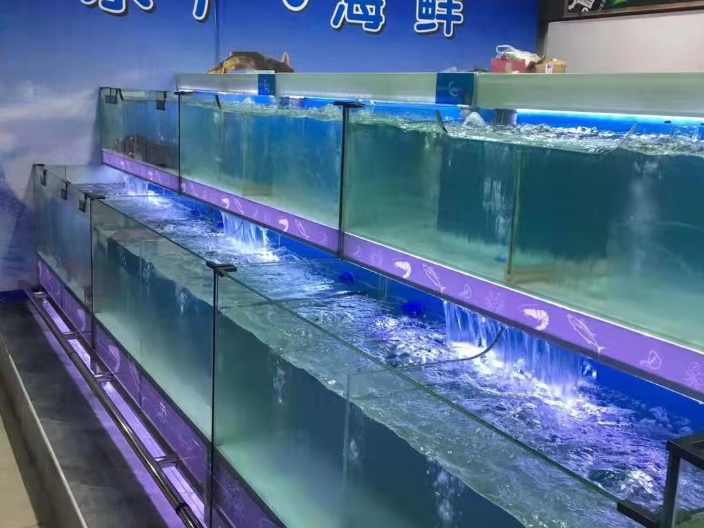 上海海水鱼缸租赁要多少钱