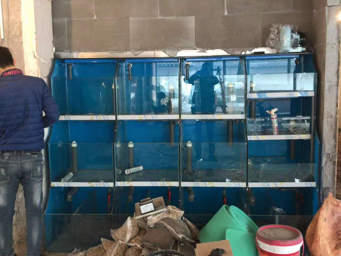 常州大型玻璃鱼缸租赁一般多少钱