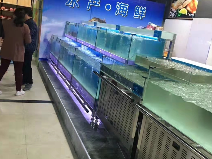 常州大型龍魚缸租賃便宜嗎