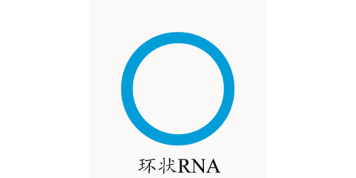 黑龙江环状RNA研究,环状
