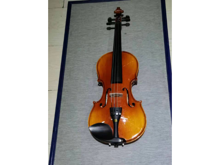 佛山进口提琴有几根弦