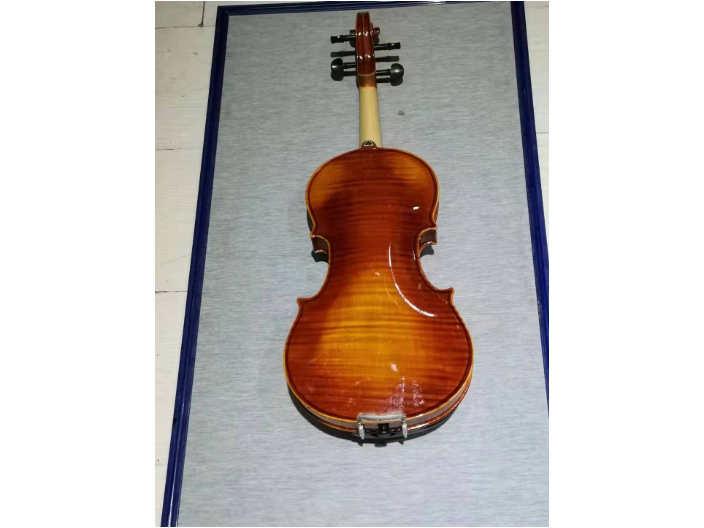 佛山中提琴教学视频