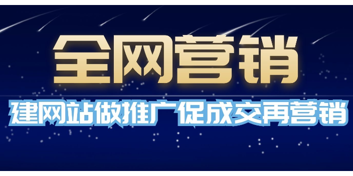 石家庄网络营销网站推广欢迎咨询 保定创天网络科技供应