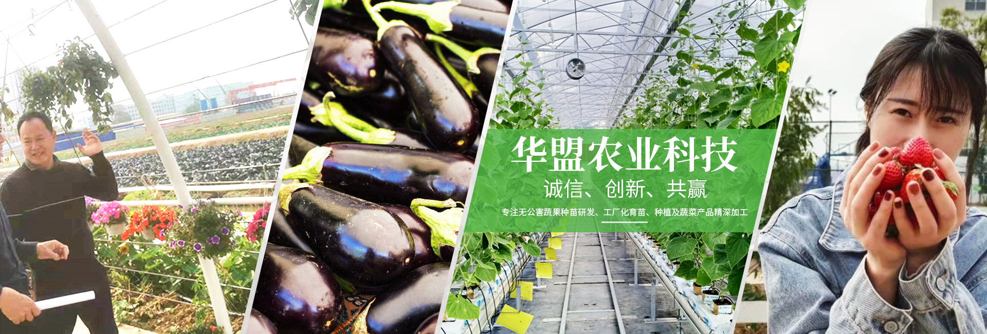 中山市華盟農業科技有限公司