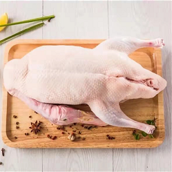 鴨肉