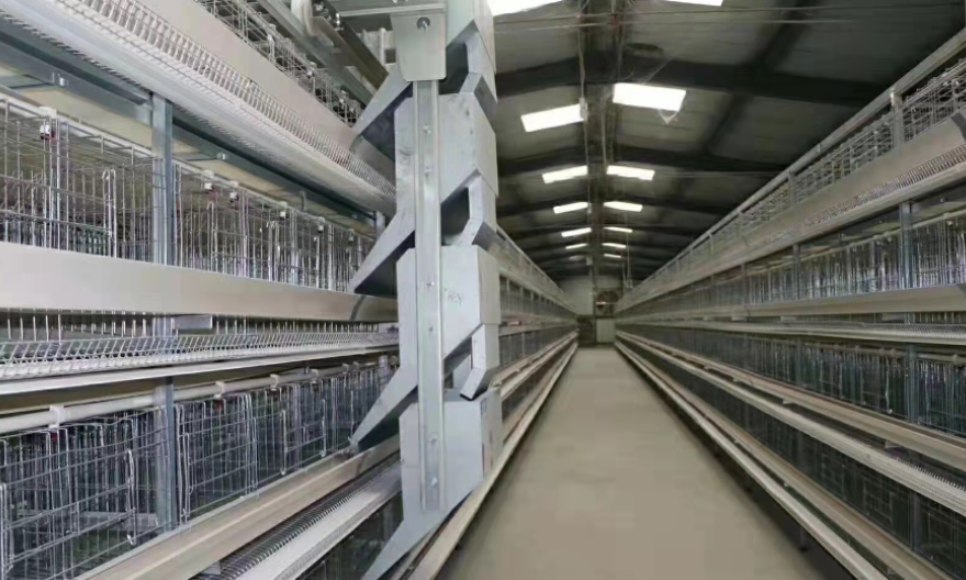商丘养鸡自动化清粪系统货源 西平牧丰农牧设备供应;