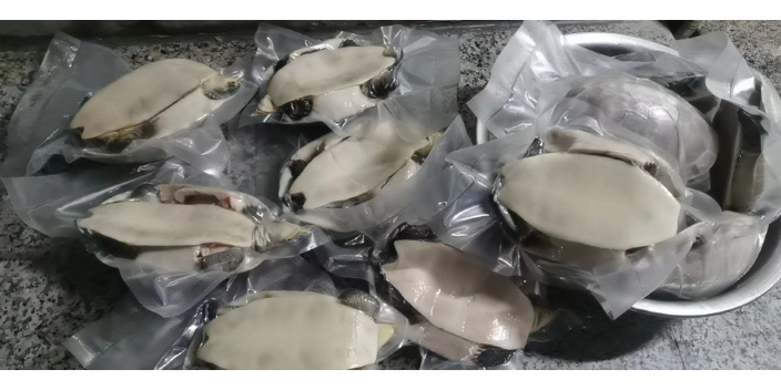 惠州可食用商品龟养殖厂家