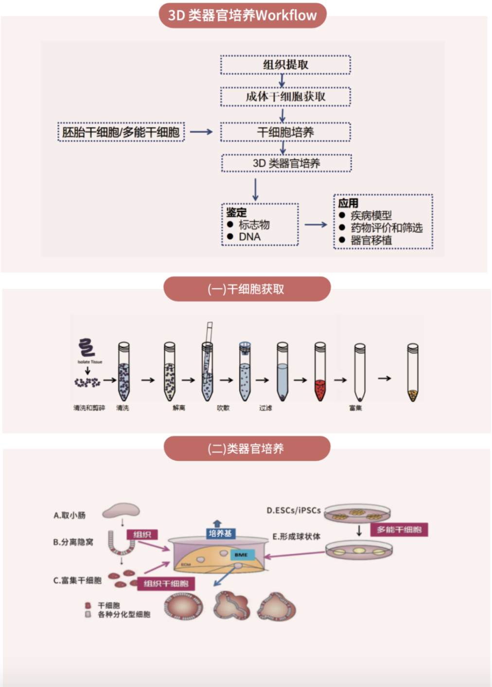 屏幕快照 2022-05-10 10.41.32.png