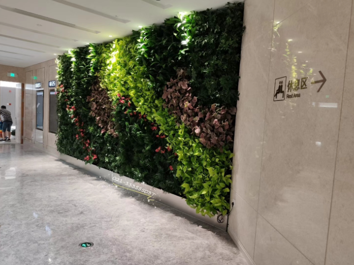 青浦區(qū)模塊化植物墻廠家電話