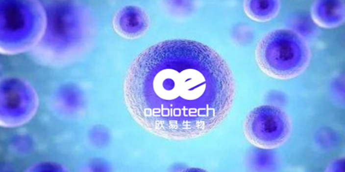 安徽介紹單細胞測序歡迎來電,單細胞測序