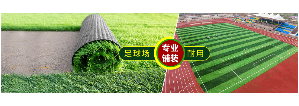 草坪草皮多少钱一平米合适