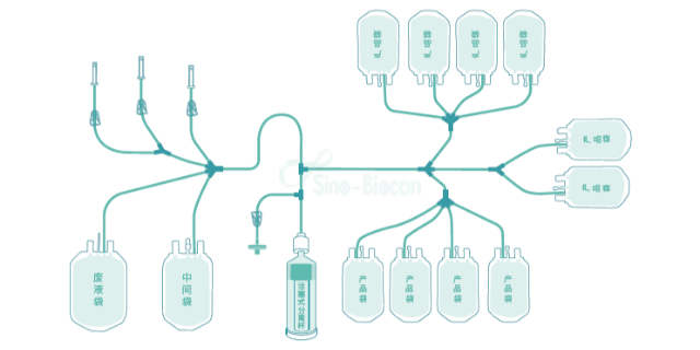 上海外周血单个核细胞分离系统生产厂家 中博瑞康供应