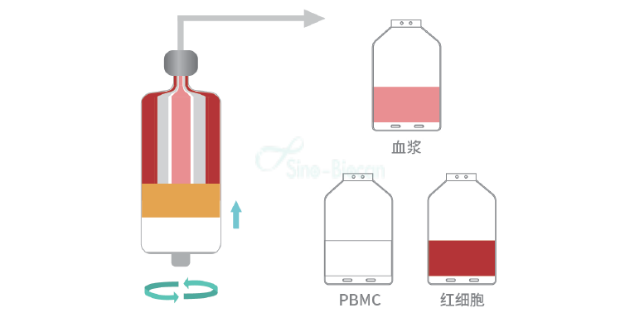 上海细胞洗涤分装系统国产品牌 中博瑞康供应
