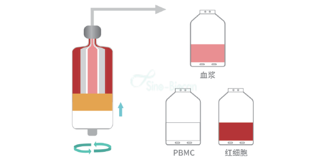 上海细胞洗涤系统费用 中博瑞康供应