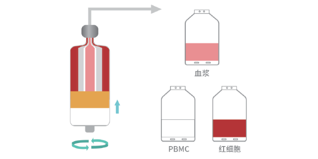 上海細胞分離系統(tǒng)銷售廠家 中博瑞康供應(yīng)