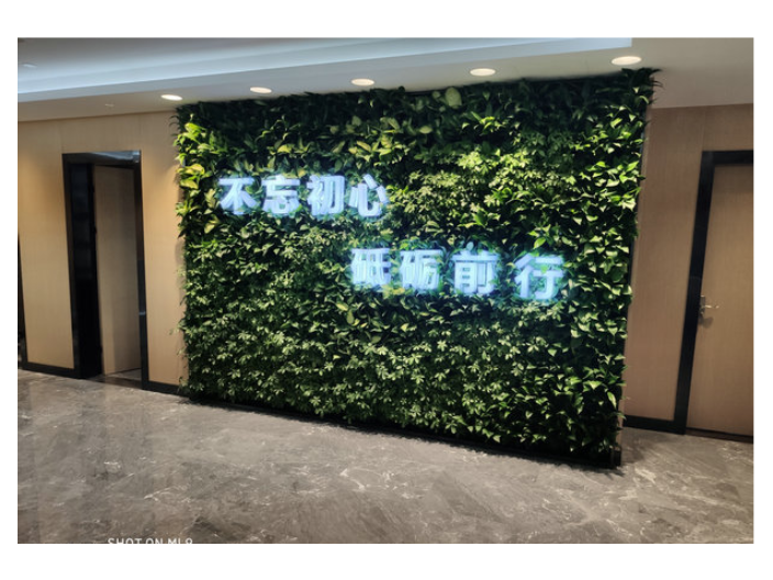虹口區掛式植物墻定制廠家