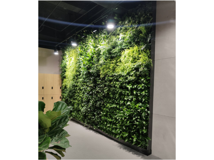 苏州绿色植物墙多少钱一平方