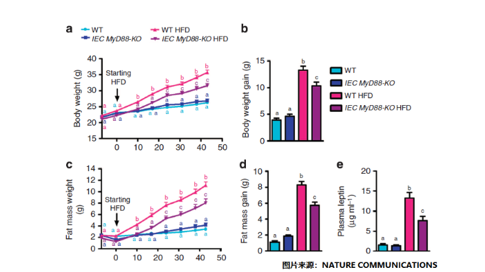 MAGMED-AccuFat-1050活鼠体成分分析仪器特色 江苏麦格瑞电子科技供应