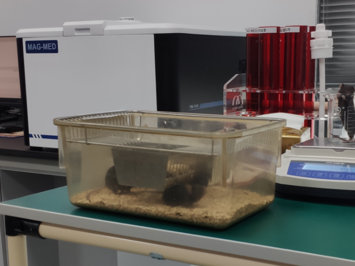 实验小鼠体成分分析仪器功能,体成分分析