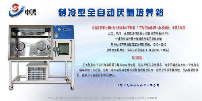 上海厌氧培养箱市场前景 欢迎咨询 上海申骋仪器供应
