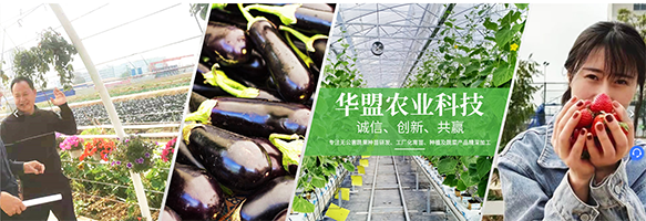 中山市華盟農業科技有限公司