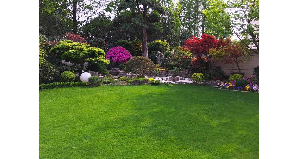 闵行庭院草坪养护费用标准,草坪