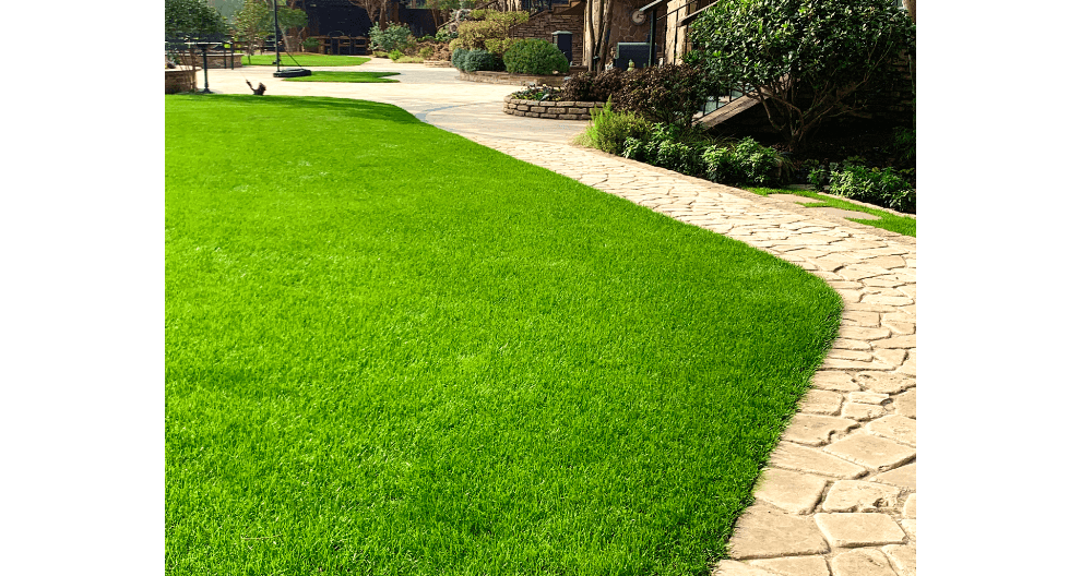 苏州庭院草坪养护费用标准,草坪