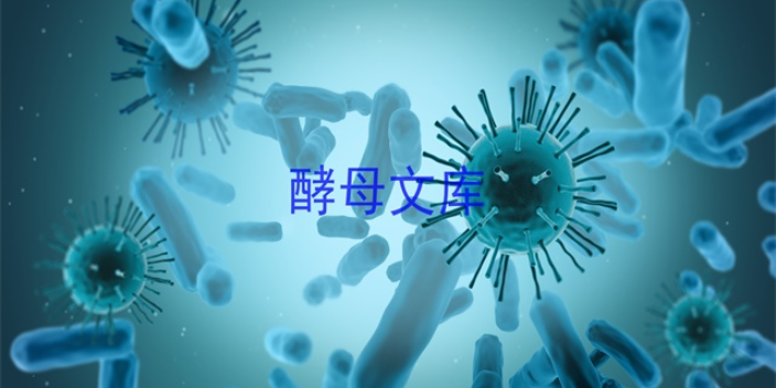 黑龙江发展酵母文库报价