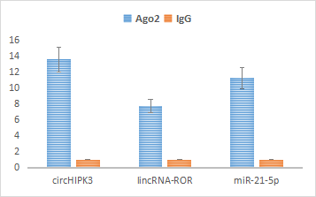 Ago2 靶基因的RIP-qPCR结果展示.png