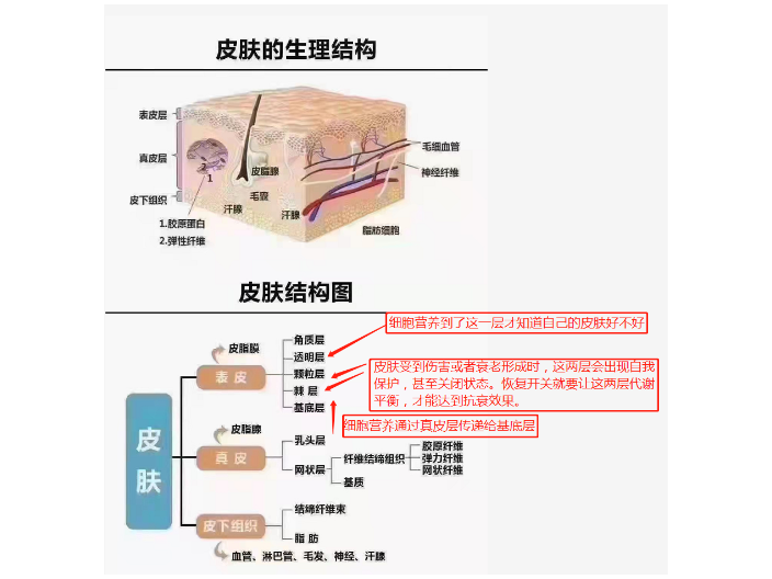 曲靖線下店緊致產(chǎn)品供應(yīng)