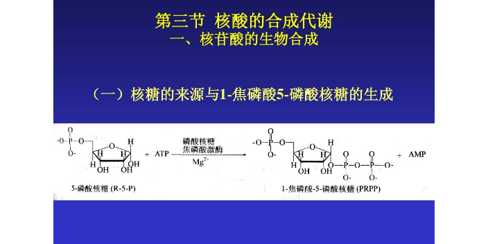 广州全自动核酸合成 服务为先 苏州英赛斯智能科技供应
