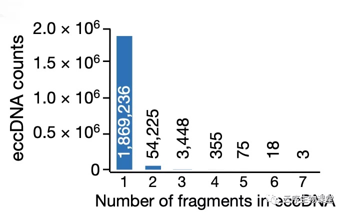 eccDNA 的来源基因片段数的分布.jpg