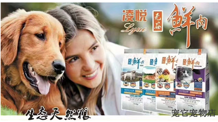 湘潭狗粮零食营养品展示 诚信为本 宠它宠物用品供应