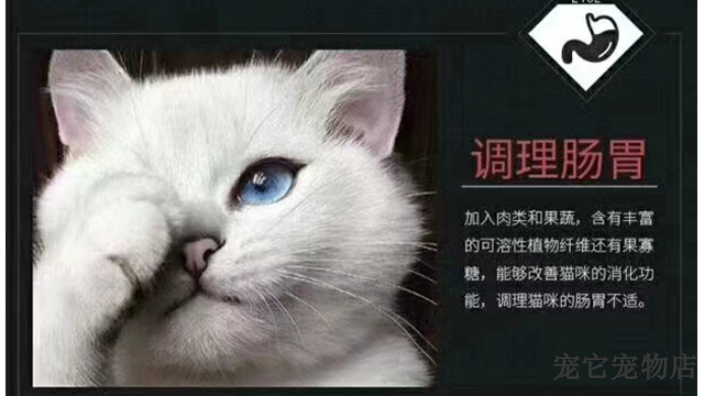 株洲新型猫粮零食营养品售价,猫粮零食营养品