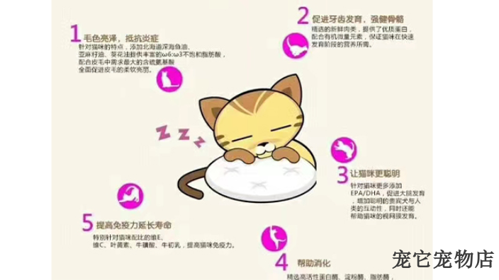 岳阳营养均衡猫粮零食营养品来电咨询