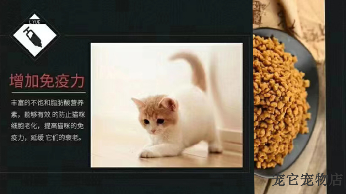 常德猫粮零食营养品欢迎咨询 诚信经营 宠它宠物用品供应