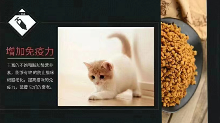 娄底推荐猫粮零食营养品网上价格 值得信赖 宠它宠物用品供应;