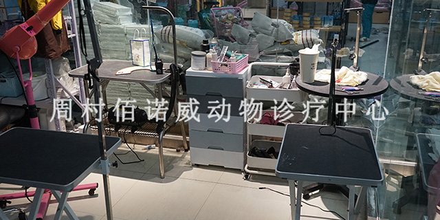 鄒平新城中部附近給貓檢查的醫院 淄博佰諾威寵物醫院供應
