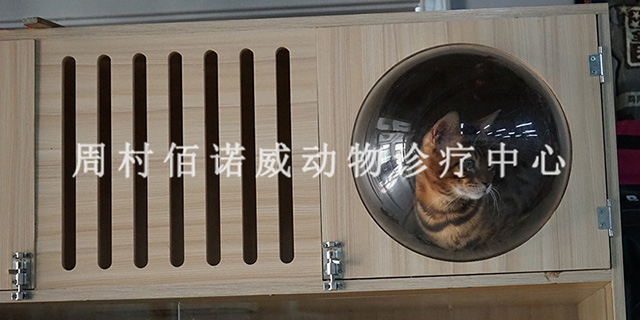 鄒平汽車站附近靠譜的狗狗洗澡 淄博佰諾威寵物醫院供應