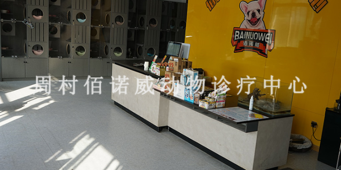 周村天香公园附近的异宠宠物医院在线咨询 淄博佰诺威宠物医院供应