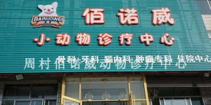 鄒平交通大廈附近給狗狗絕育的地方 淄博佰諾威寵物醫院供應