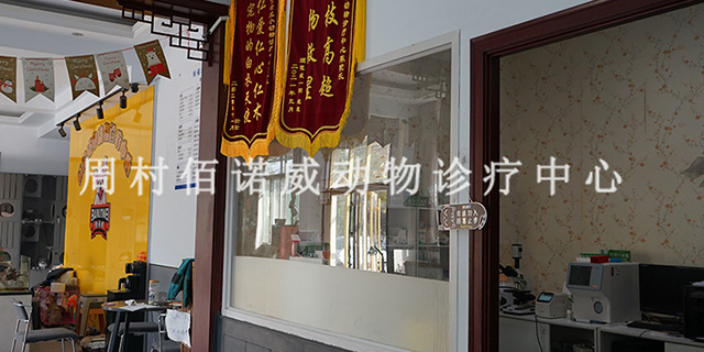 邹平新城中部附近给猫诊疗的地方 淄博佰诺威宠物医院供应;
