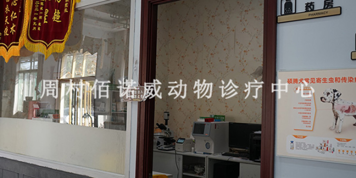周村絲綢路附近便宜的寵物醫院檢查 淄博佰諾威寵物醫院供應