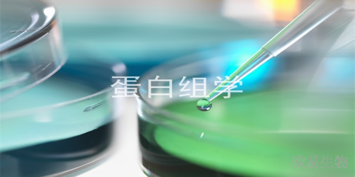 广东蛋白组学全谱分析
